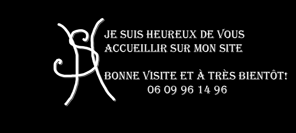 design épuré et élégant pour une identité visuelle professionnelle du photographe Serge-Henri.